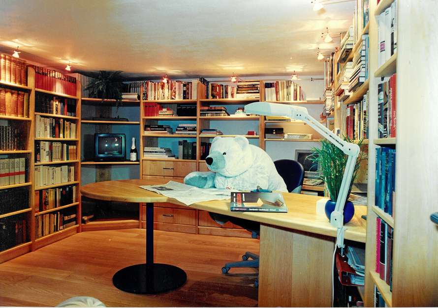 Büro mit üppiger Bibliothek 