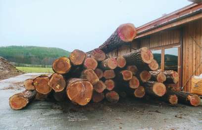 Die Lärchen für das regionale Musterhaus 